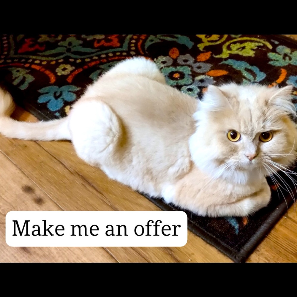 Make me an offer!
